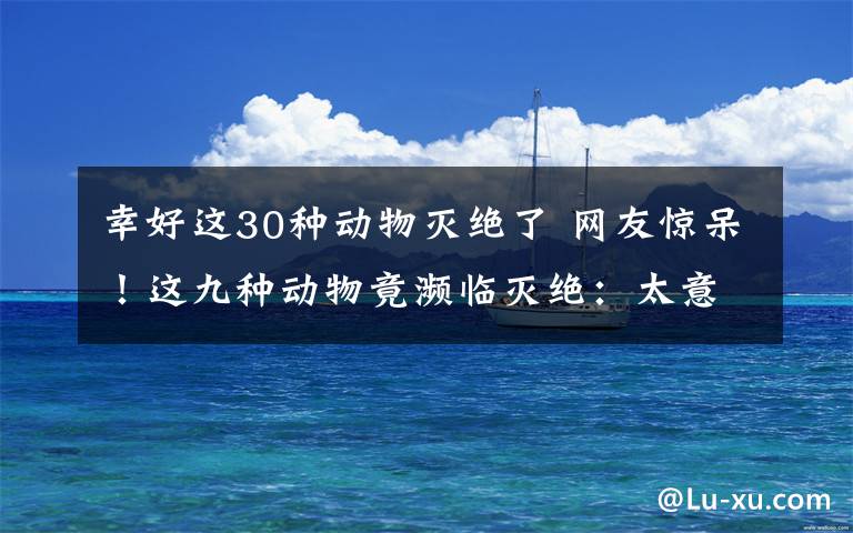 幸好这30种动物灭绝了 网友惊呆!这九种动物竟濒临灭绝:太意外