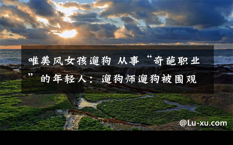 唯美风女孩遛狗 从事“奇葩职业”的年轻人:遛狗师遛狗被围观