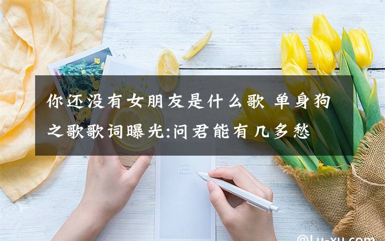 你还没有女朋友是什么歌 单身狗之歌歌词曝光:问君能有几多愁 你还没有女朋友