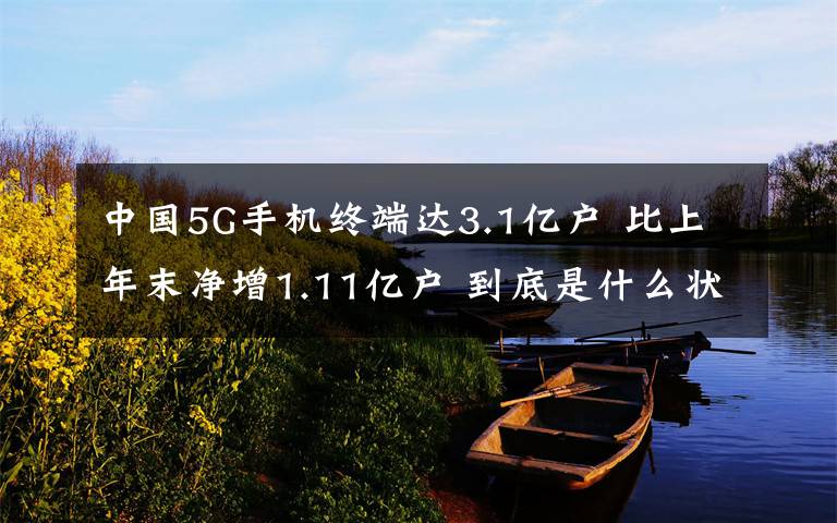 中国5G手机终端达3.1亿户 比上年末净增1.11亿户 到底是什么状况?