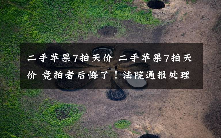二手苹果7拍天价 二手苹果7拍天价 竞拍者后悔了!法院通报处理结果