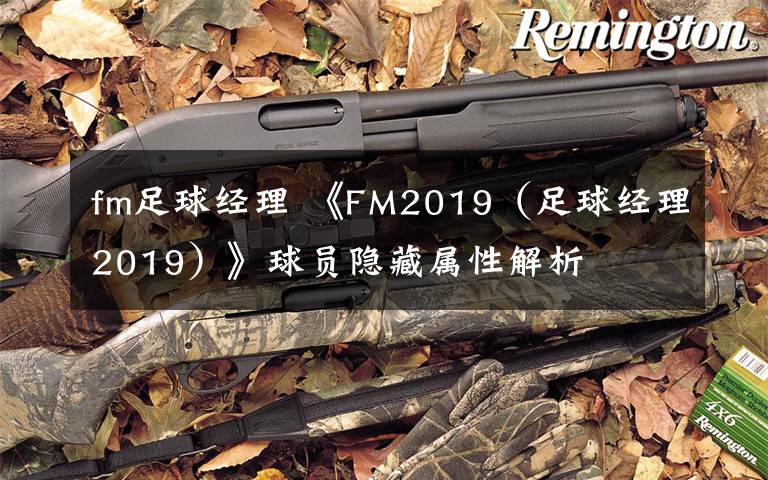 fm足球经理 《FM2019(足球经理2019)》球员隐藏属性解析