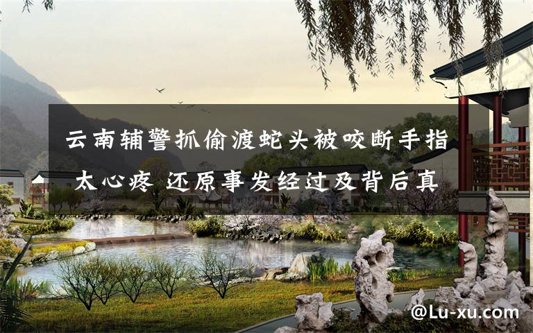 云南辅警抓偷渡蛇头被咬断手指 太心疼 还原事发经过及背后真相!