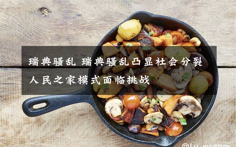 瑞典骚乱 瑞典骚乱凸显社会分裂人民之家模式面临挑战