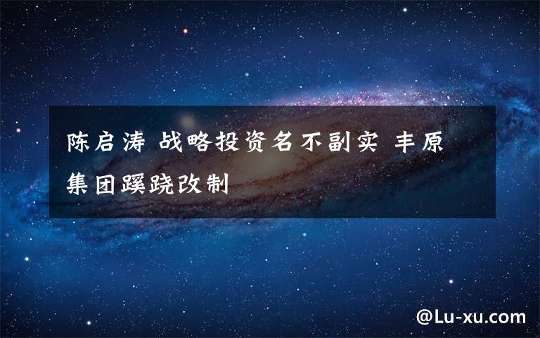 陈启涛 战略投资名不副实 丰原集团蹊跷改制