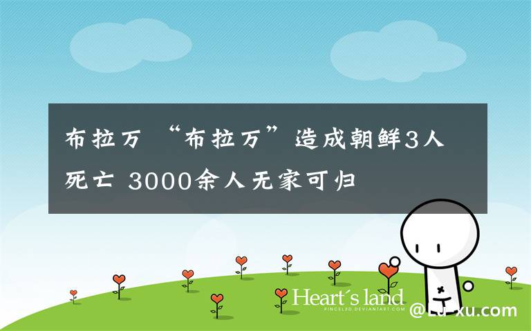 布拉万 “布拉万”造成朝鲜3人死亡 3000余人无家可归