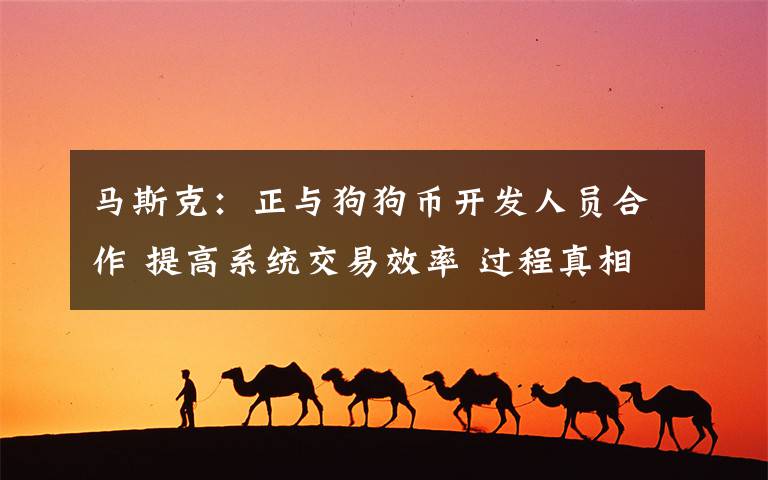 马斯克:正与狗狗币开发人员合作 提高系统交易效率 过程真相详细揭秘!