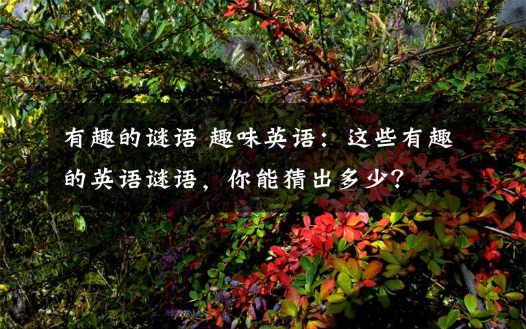 有趣的谜语 趣味英语:这些有趣的英语谜语,你能猜出多少?
