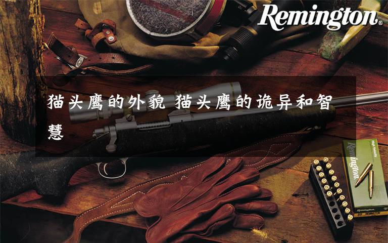 猫头鹰的外貌 猫头鹰的诡异和智慧