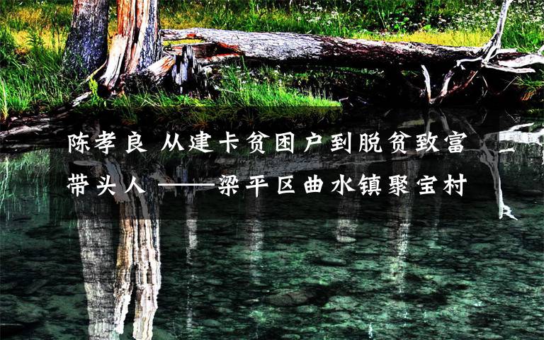 陈孝良 从建卡贫困户到脱贫致富带头人 ——梁平区曲水镇聚宝村村民陈孝良用勤劳树起一面带头致富旗帜