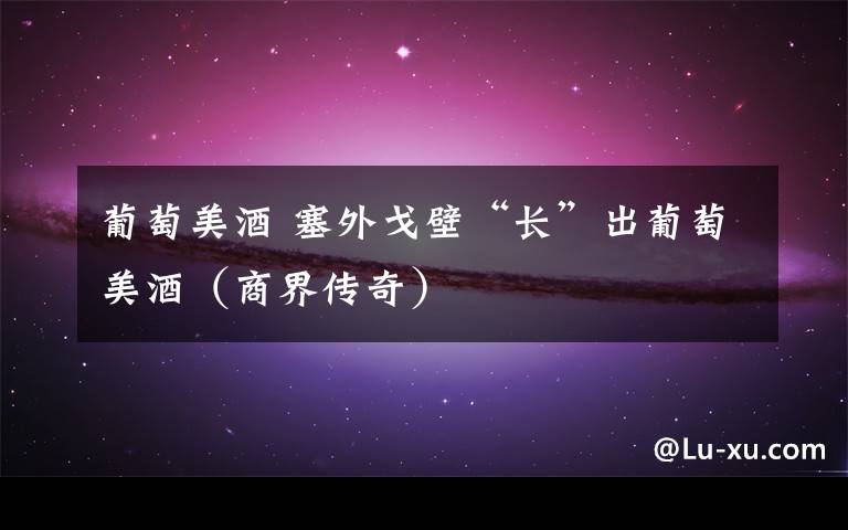 葡萄美酒 塞外戈壁“长”出葡萄美酒（商界传奇）