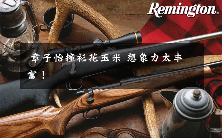 章子怡撞衫花玉米 想象力太丰富!