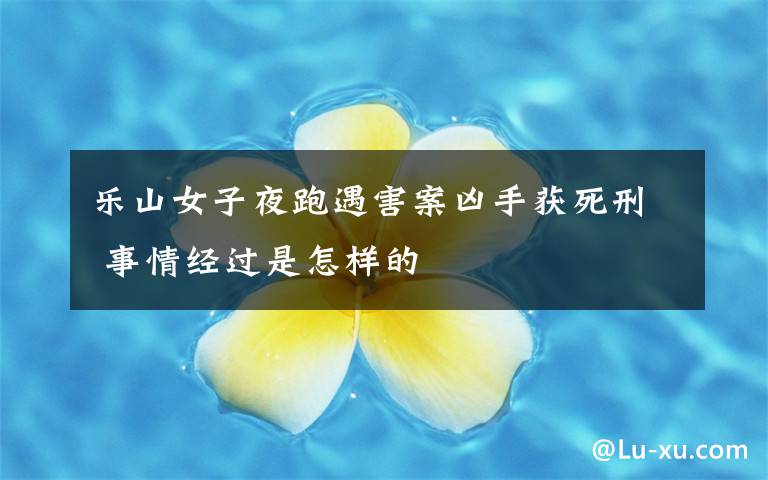 乐山女子夜跑遇害案凶手获死刑 事情经过是怎样的