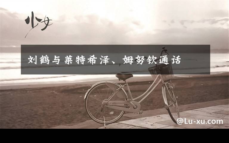 刘鹤与莱特希泽、姆努钦通话