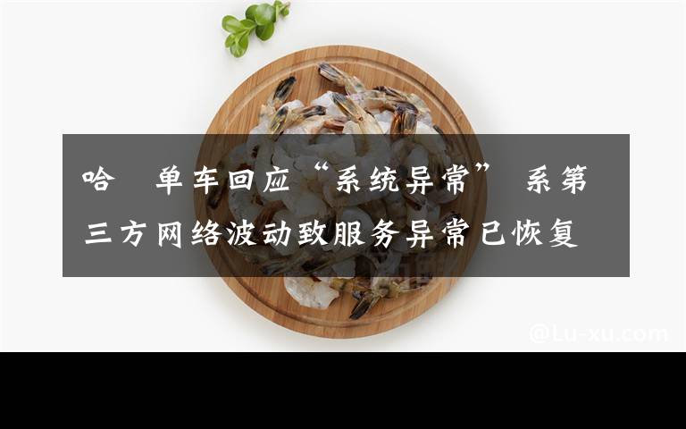 哈啰单车回应“系统异常” 系第三方网络波动致服务异常已恢复