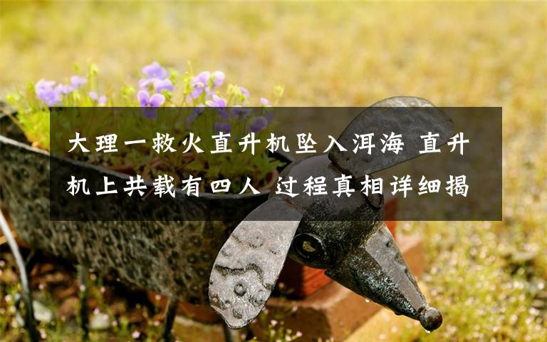 大理一救火直升机坠入洱海 直升机上共载有四人 过程真相详细揭秘！
