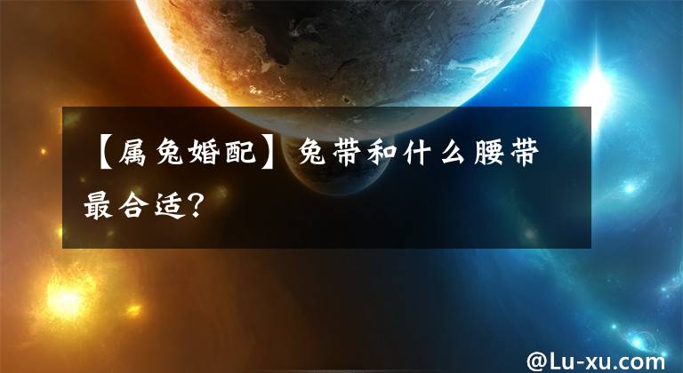 【属兔婚配】兔带和什么腰带最合适?