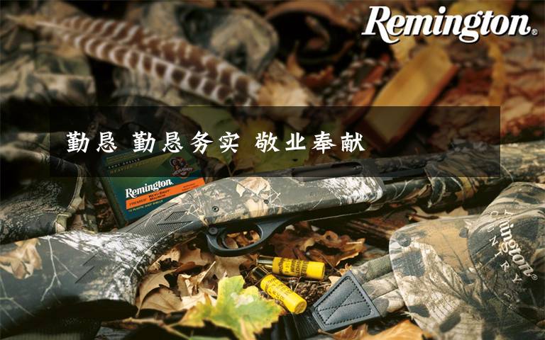 勤恳 勤恳务实 敬业奉献