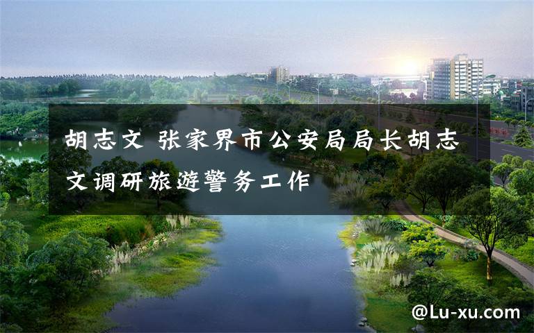 胡志文 张家界市公安局局长胡志文调研旅游警务工作