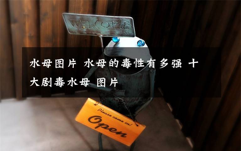 水母图片 水母的毒性有多强 十大剧毒水母 图片