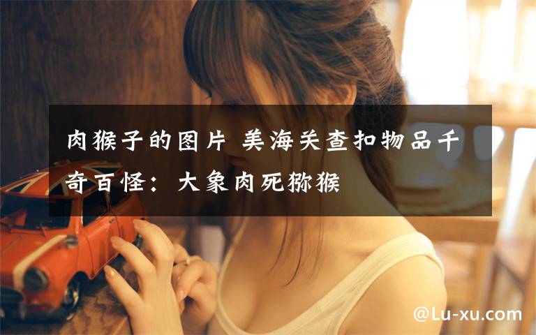 肉猴子的图片 美海关查扣物品千奇百怪:大象肉死猕猴