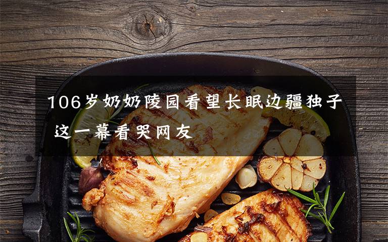 106岁奶奶陵园看望长眠边疆独子 这一幕看哭网友