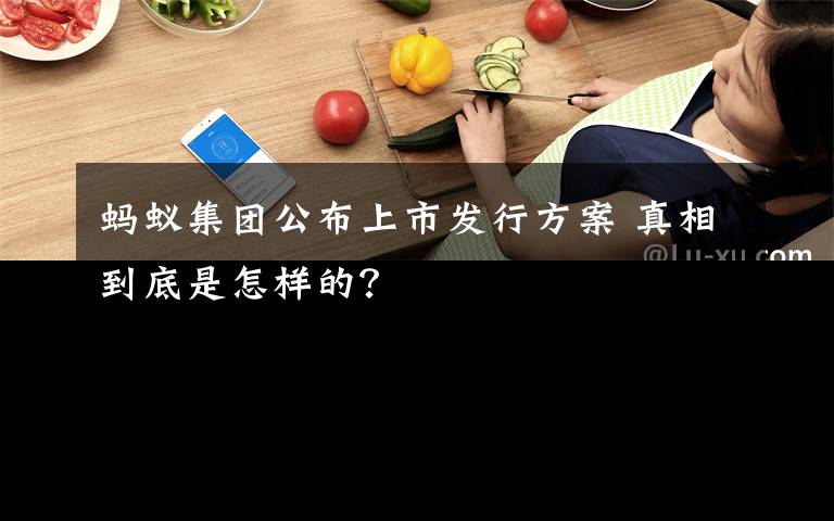 蚂蚁集团公布上市发行方案 真相到底是怎样的?