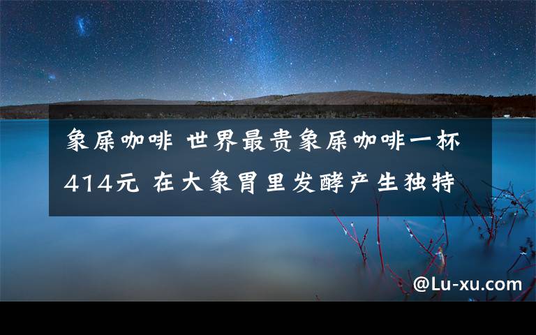 象屎咖啡 世界最贵象屎咖啡一杯414元 在大象胃里发酵产生独特果香