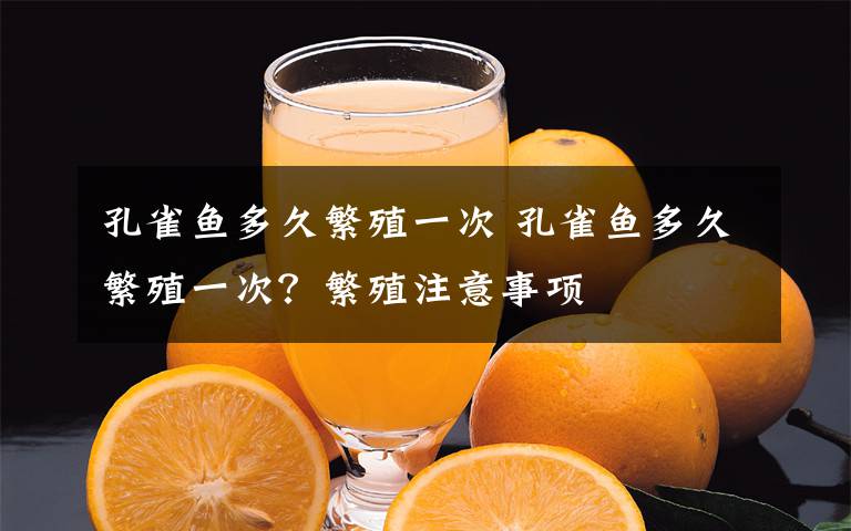 孔雀鱼多久繁殖一次 孔雀鱼多久繁殖一次?繁殖注意事项