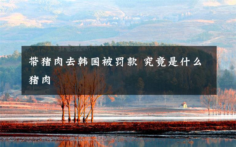 带猪肉去韩国被罚款 究竟是什么猪肉