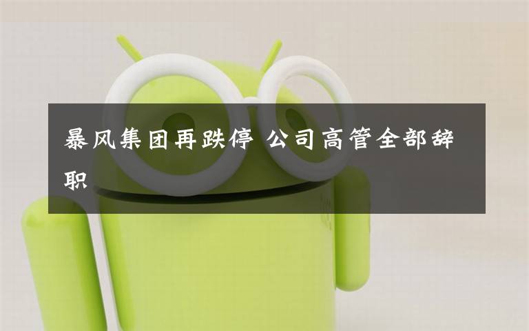 暴风集团再跌停 公司高管全部辞职