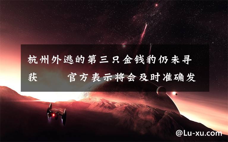 杭州外逃的第三只金钱豹仍未寻获   官方表示将会及时准确发布工作进展情况 事情经过真相揭秘!