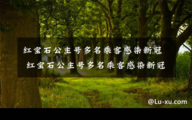 红宝石公主号多名乘客感染新冠 红宝石公主号多名乘客感染新冠 红宝石公主号是什么地方的？