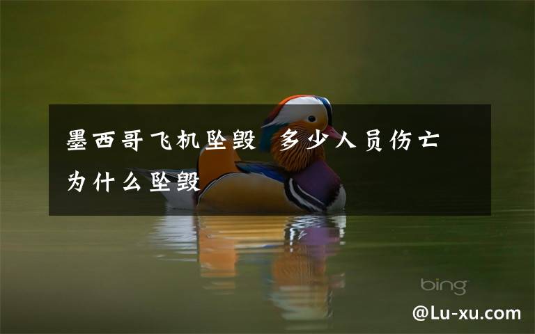 墨西哥飞机坠毁  多少人员伤亡为什么坠毁