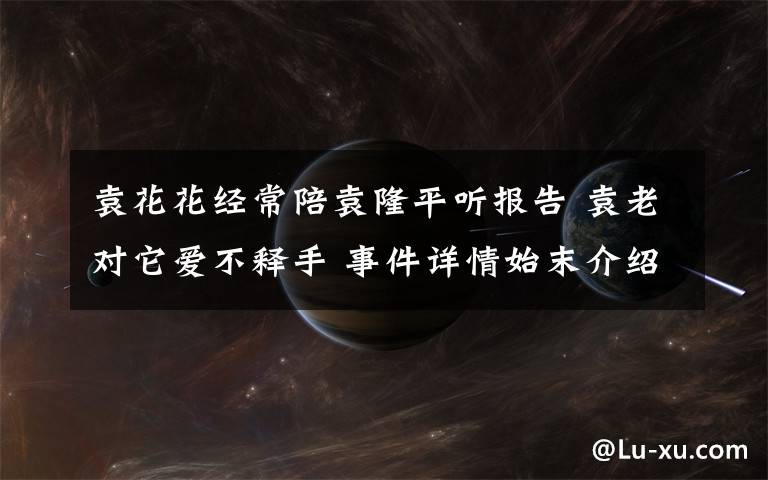袁花花经常陪袁隆平听报告 袁老对它爱不释手 事件详情始末介绍!