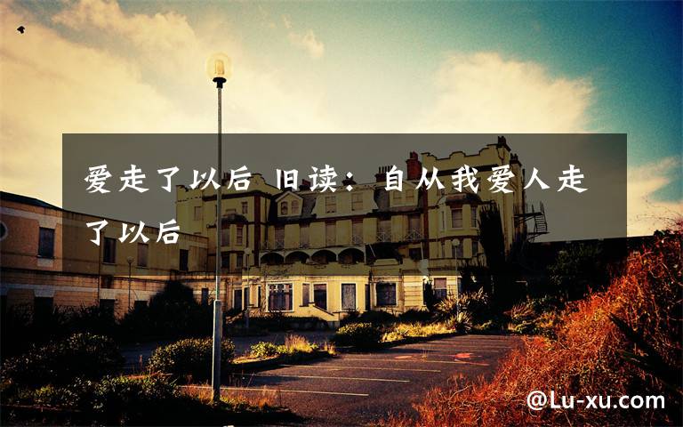 爱走了以后 旧读:自从我爱人走了以后
