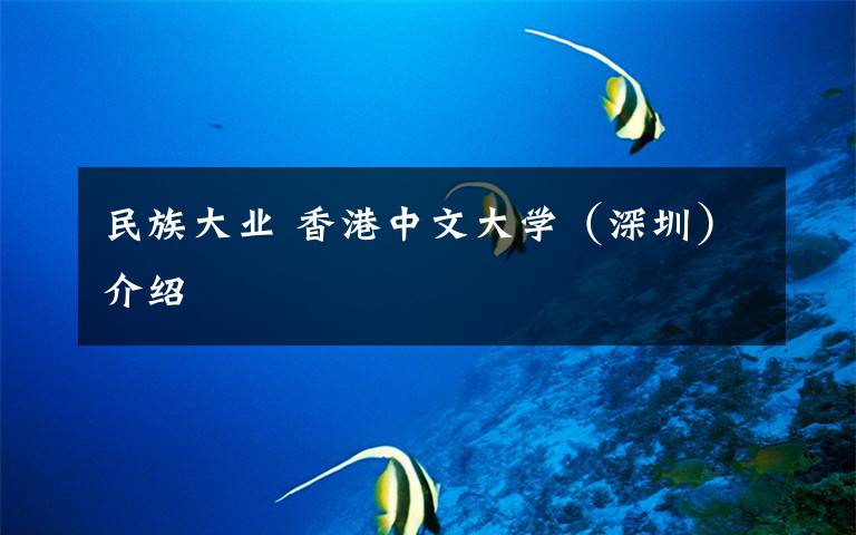 民族大业 香港中文大学（深圳）介绍