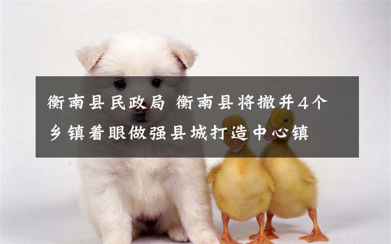 衡南县民政局 衡南县将撤并4个乡镇着眼做强县城打造中心镇