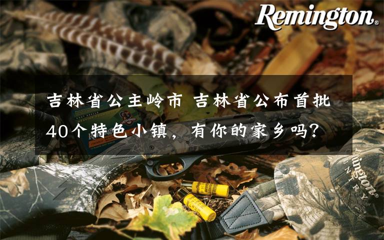 吉林省公主岭市 吉林省公布首批40个特色小镇,有你的家乡吗?