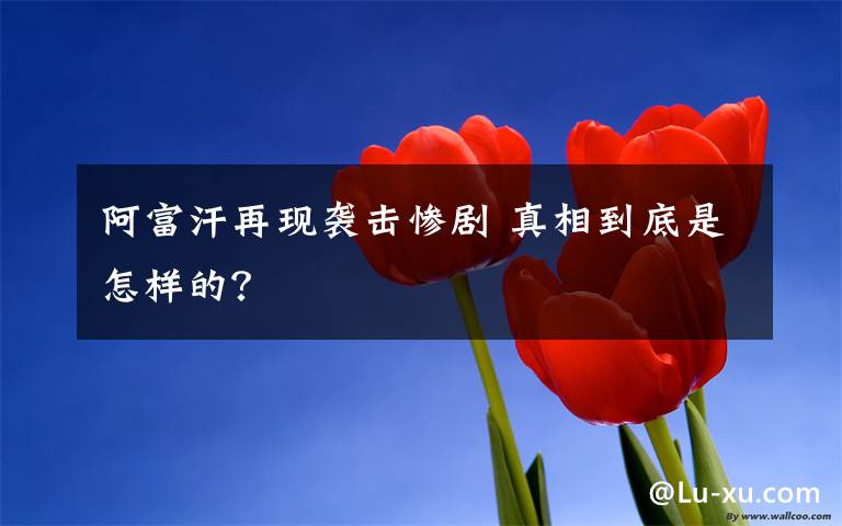 阿富汗再现袭击惨剧 真相到底是怎样的?