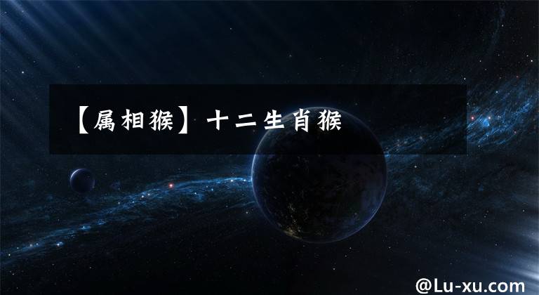 【属相猴】十二生肖猴