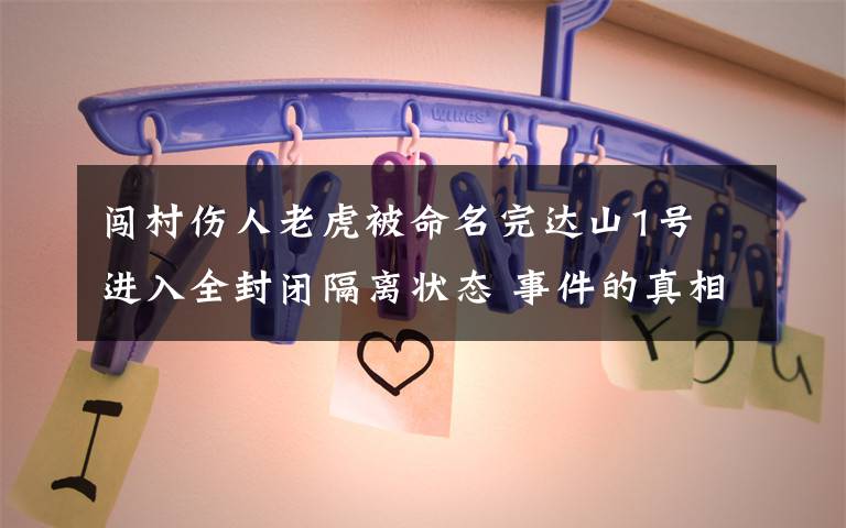 闯村伤人老虎被命名完达山1号 进入全封闭隔离状态 事件的真相是什么?