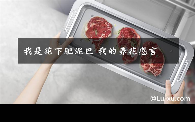 我是花下肥泥巴 我的养花感言