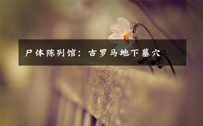 尸体陈列馆:古罗马地下墓穴