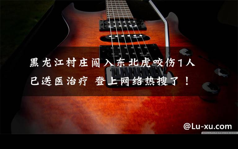 黑龙江村庄闯入东北虎咬伤1人 已送医治疗 登上网络热搜了!