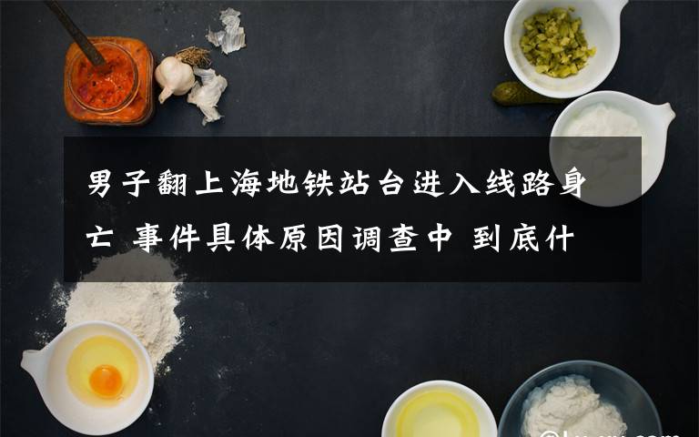 男子翻上海地铁站台进入线路身亡 事件具体原因调查中 到底什么情况呢?