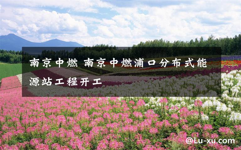 南京中燃 南京中燃浦口分布式能源站工程开工