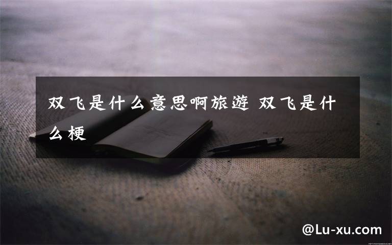 双飞是什么意思啊旅游 双飞是什么梗