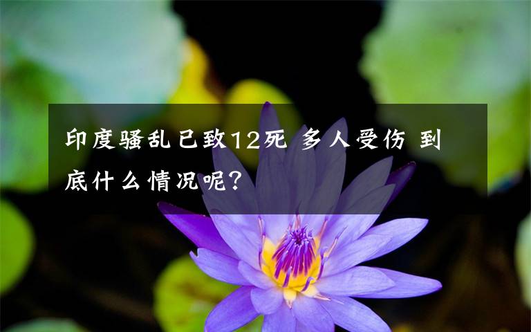 印度骚乱已致12死 多人受伤 到底什么情况呢?