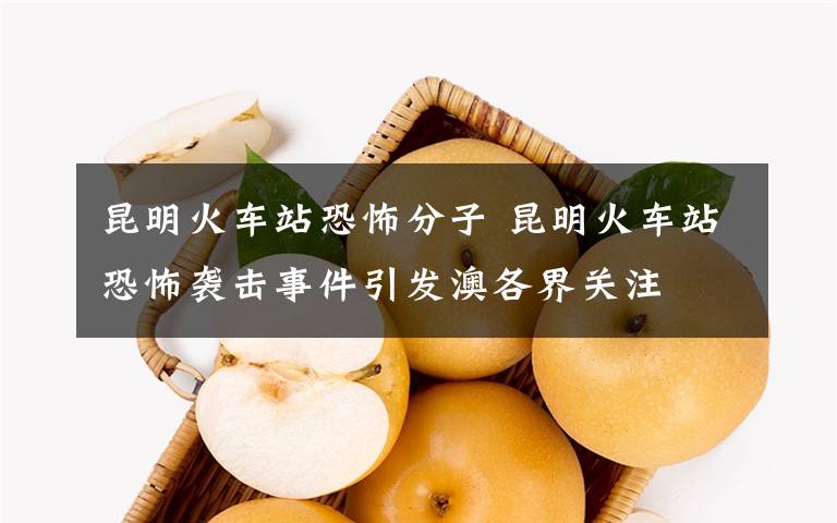 昆明火车站恐怖分子 昆明火车站恐怖袭击事件引发澳各界关注